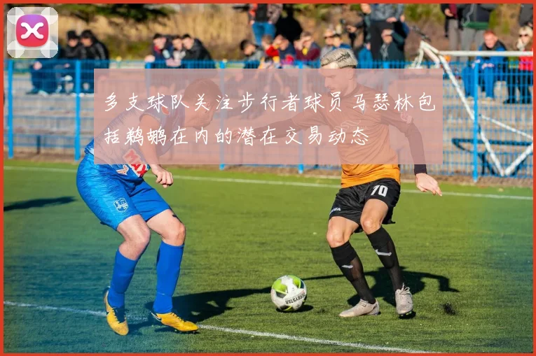 多支球队关注步行者球员马瑟林包括鹈鹕在内的潜在交易动态